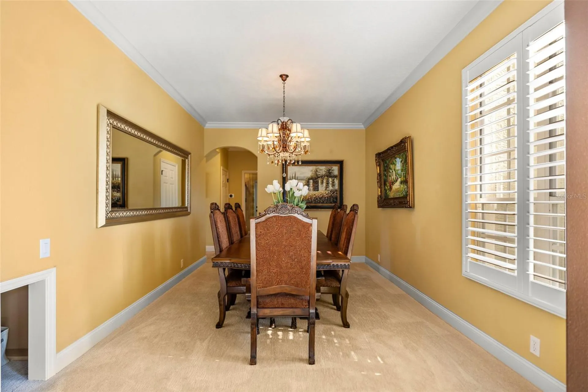 4165 Moreno Drive Palm Harbor FL 34685