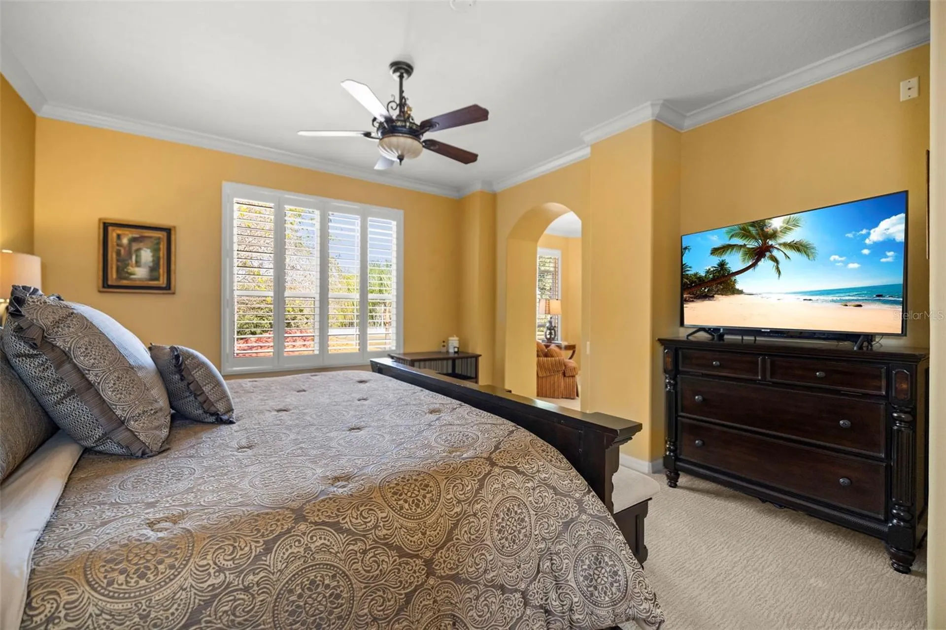 4165 Moreno Drive Palm Harbor FL 34685