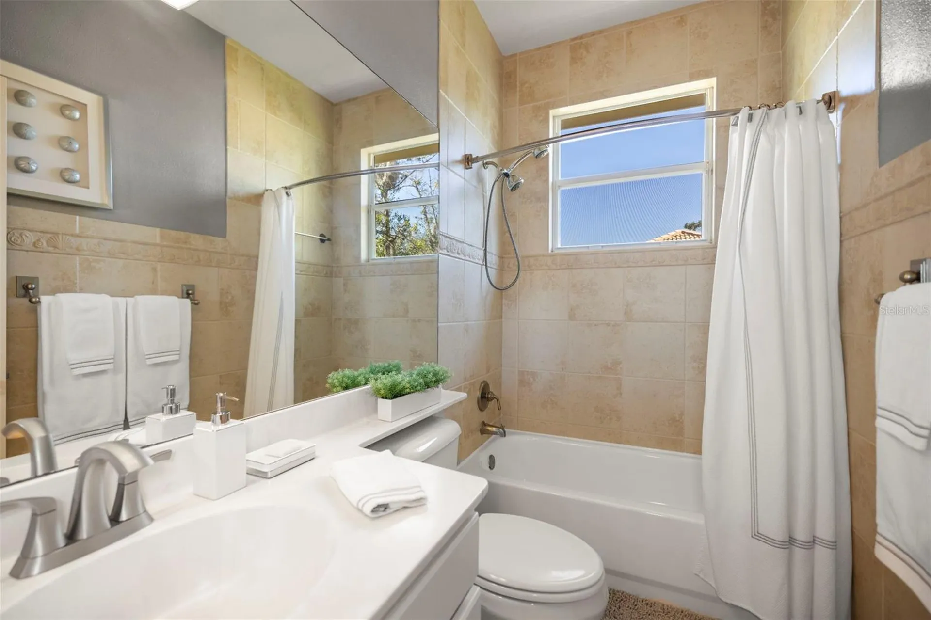 4165 Moreno Drive Palm Harbor FL 34685