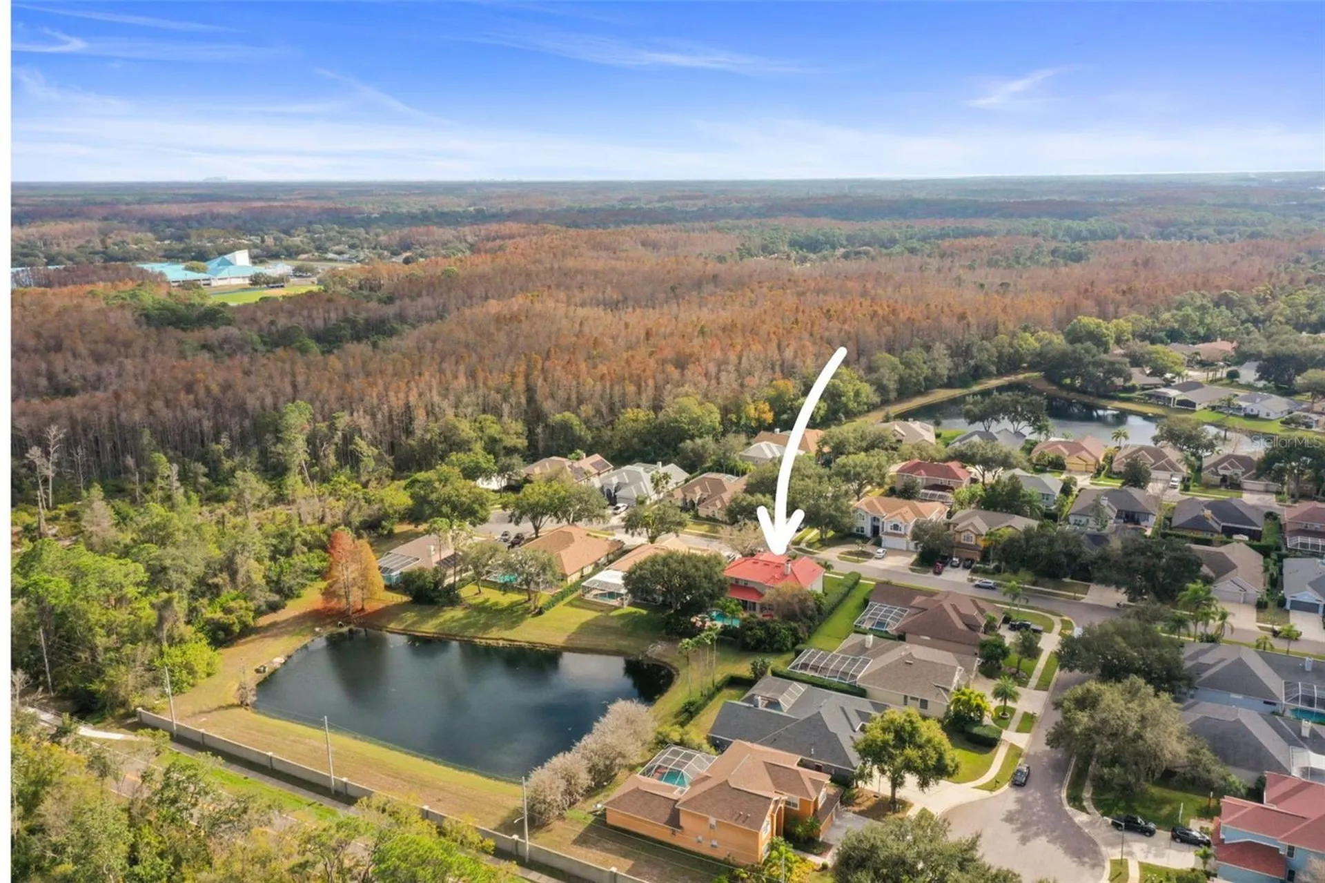 4165 Moreno Drive Palm Harbor FL 34685