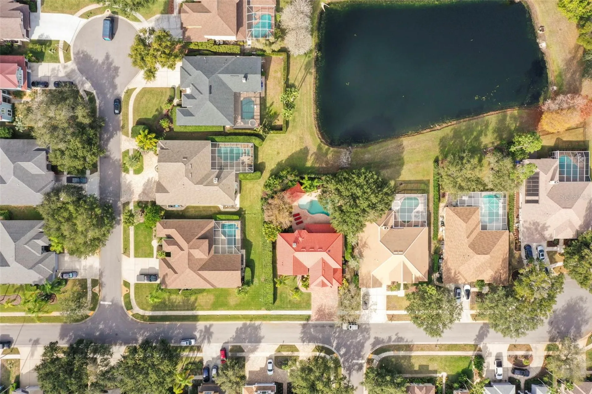 4165 Moreno Drive Palm Harbor FL 34685