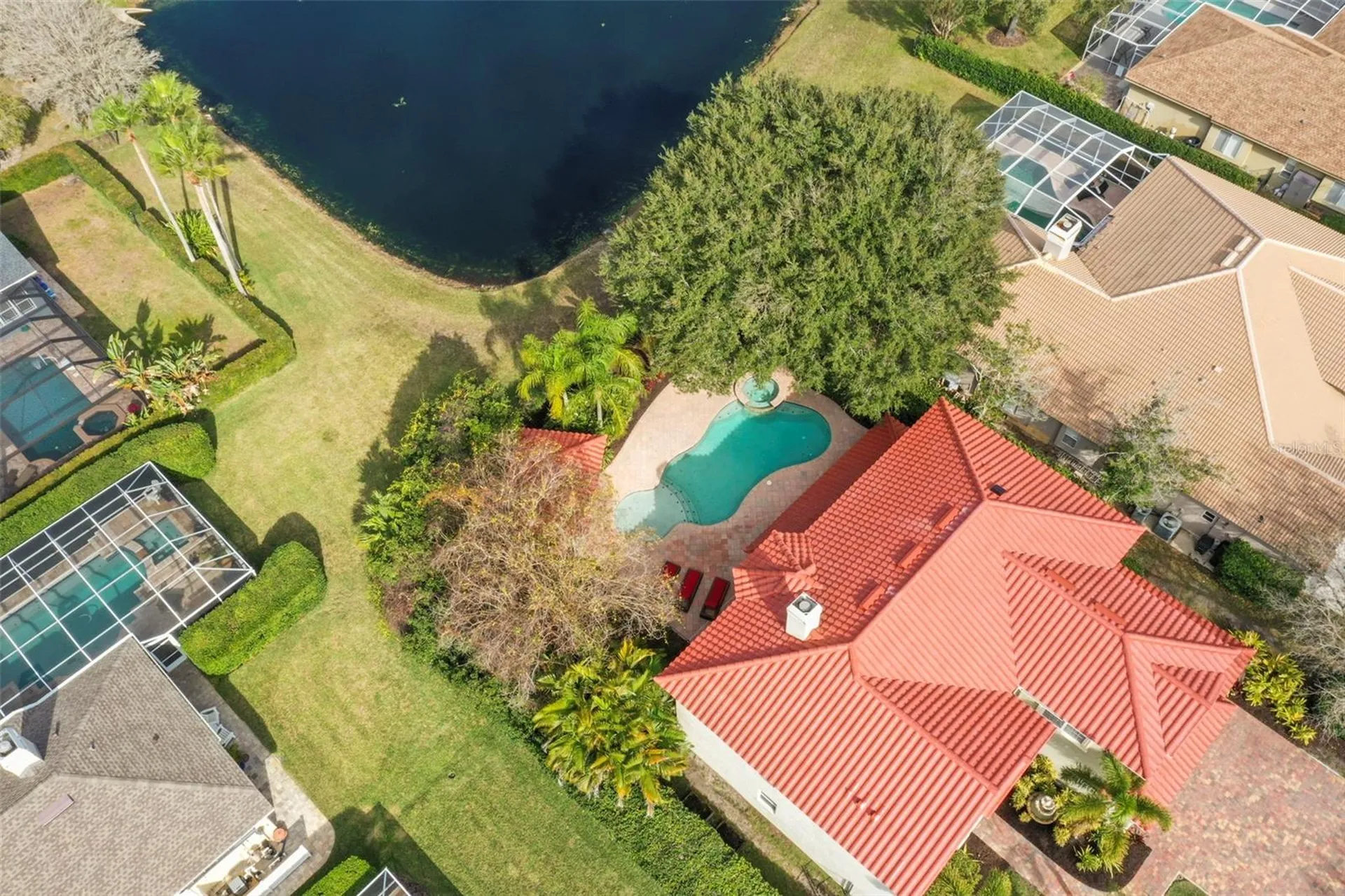 4165 Moreno Drive Palm Harbor FL 34685