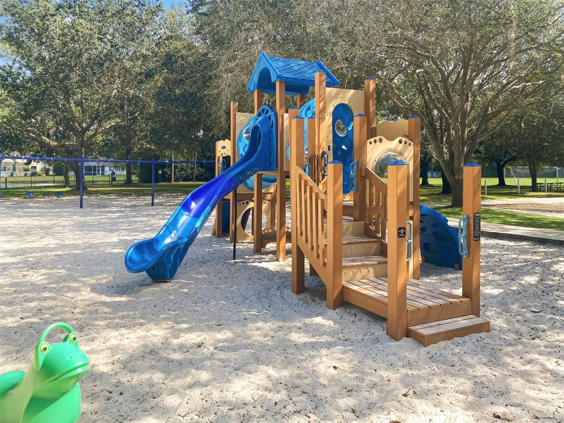4165 Moreno Drive Palm Harbor FL 34685
