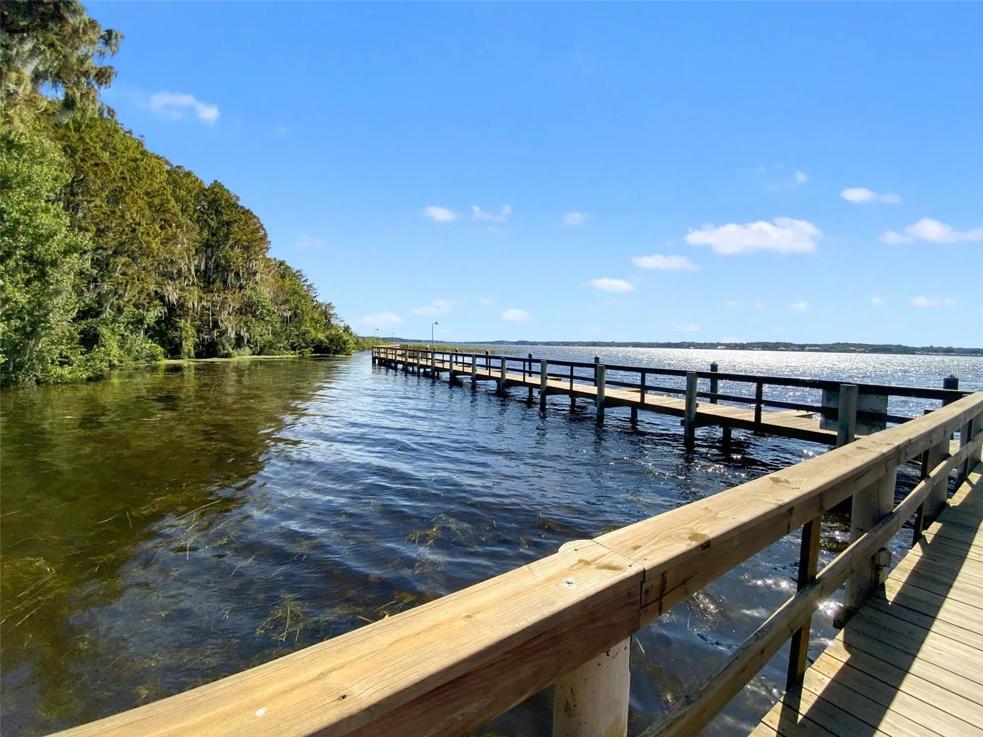 4165 Moreno Drive Palm Harbor FL 34685
