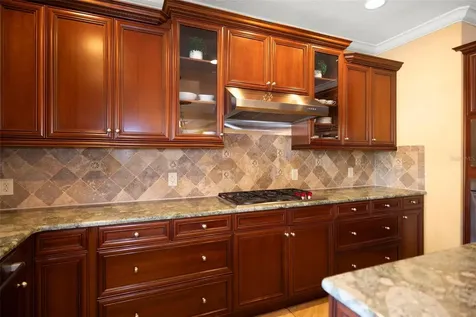 4165 Moreno Drive Palm Harbor FL 34685