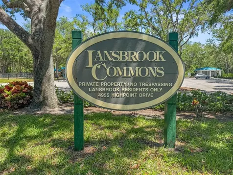 4165 Moreno Drive Palm Harbor FL 34685