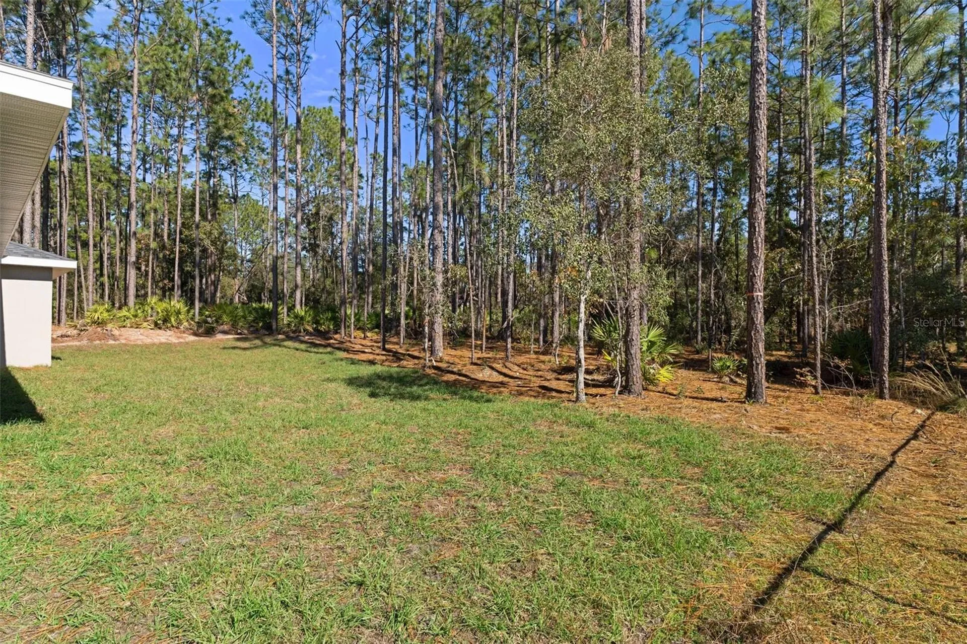 7685 N Maltese Drive Citrus Springs FL 34433