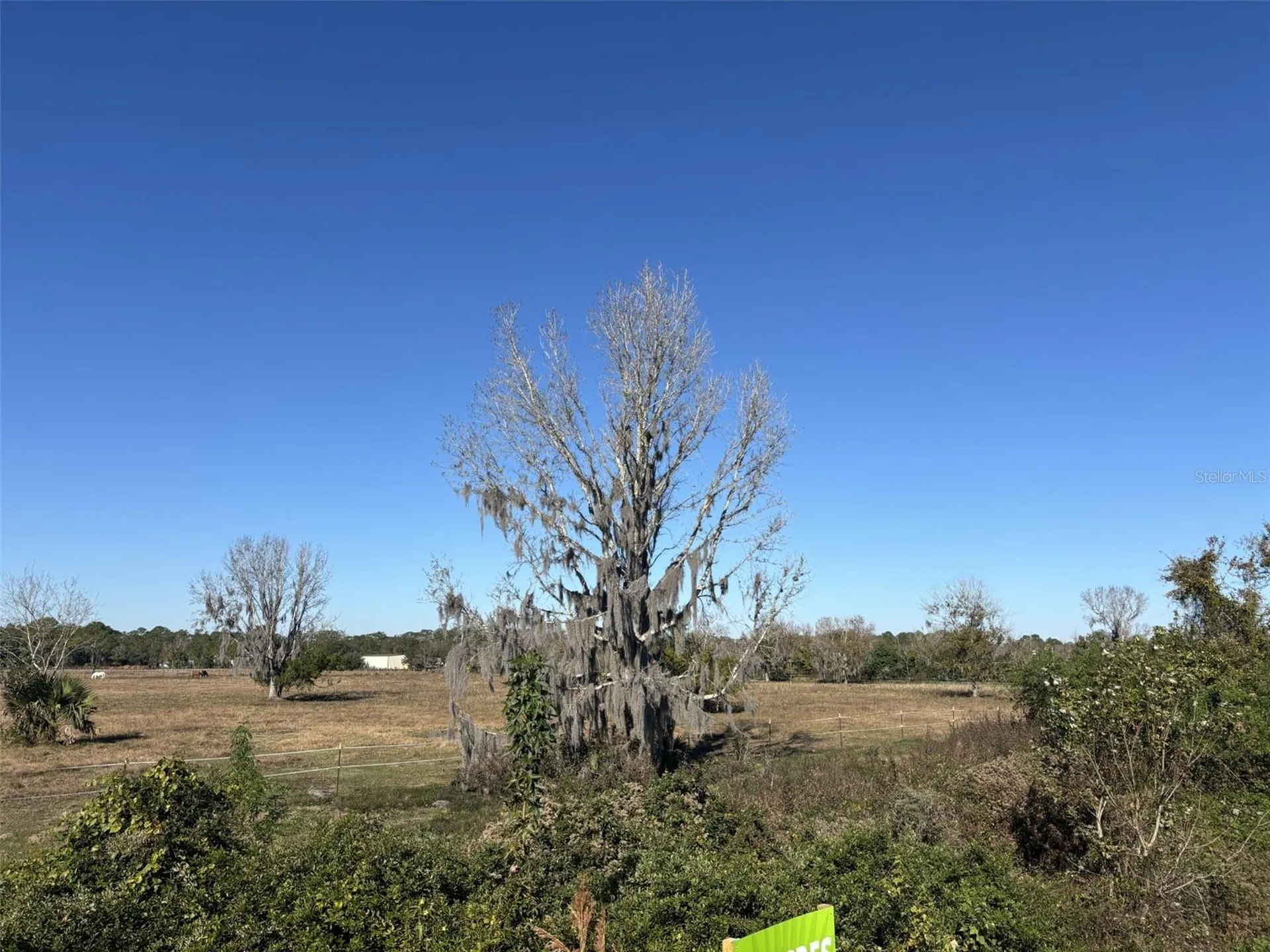 Tomoka Farms Road Port Orange FL 32128