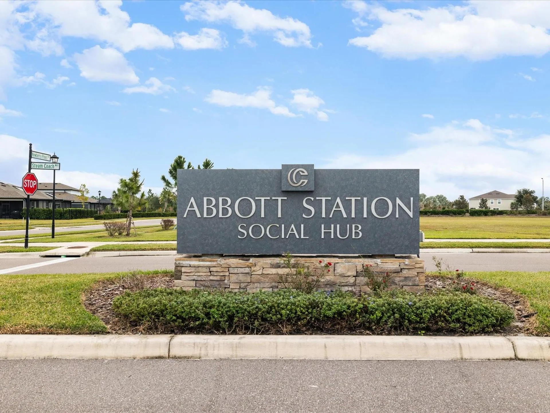 31428 Amberview Bend Wesley Chapel FL 33545
