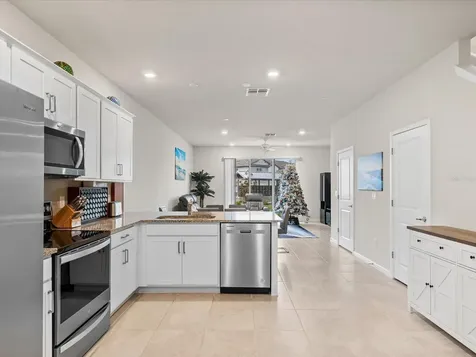 31428 Amberview Bend Wesley Chapel FL 33545