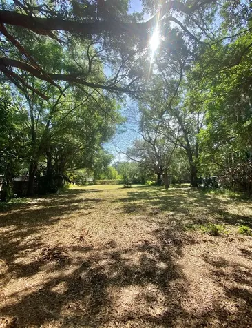 47 Oak Street Winter Garden FL 34787