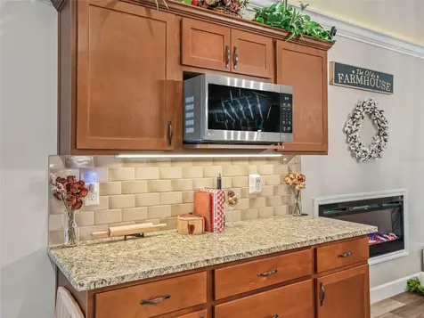 6570 SE 175th Court Morriston FL 32668