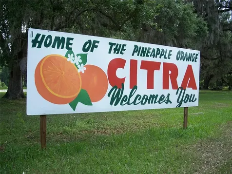 0000 NE 164th Place E Citra FL 32113