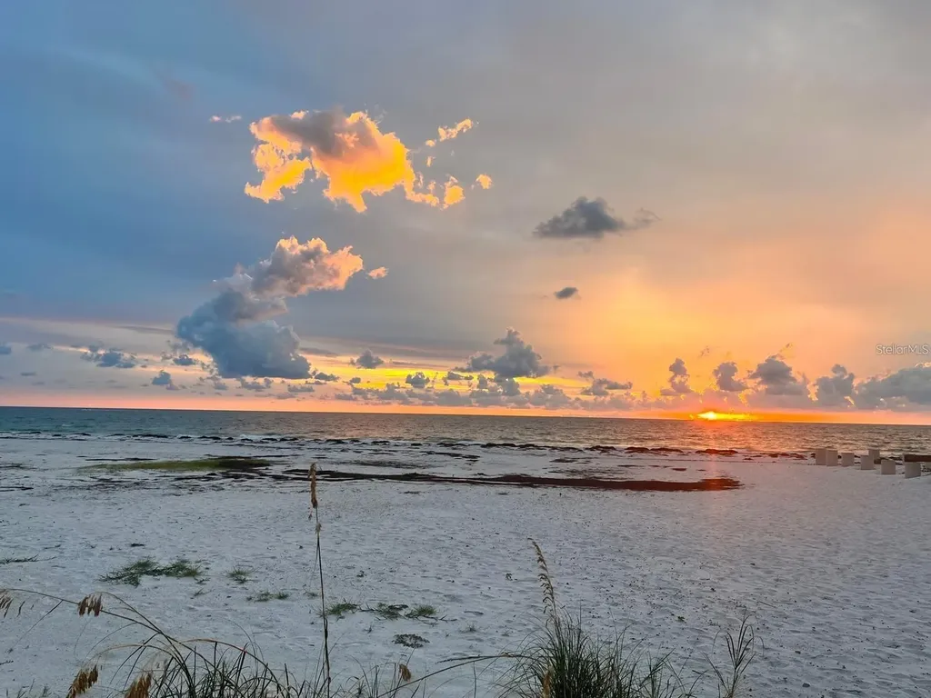 880 Mandalay Avenue Clearwater Beach FL 33767