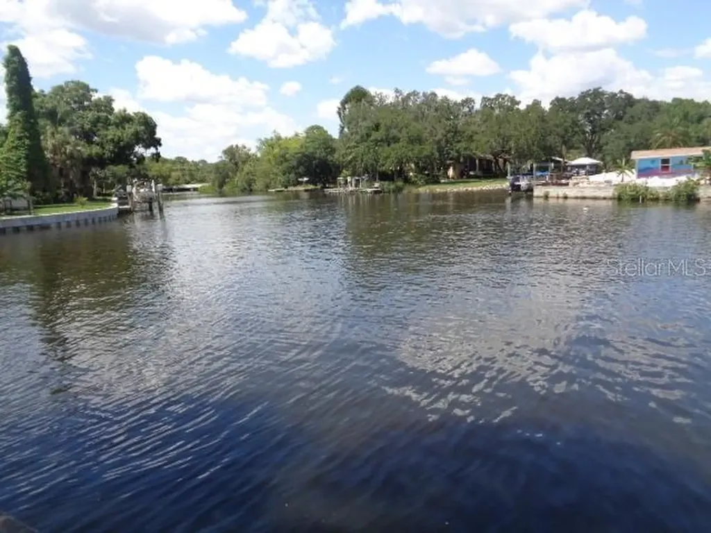 9105 Tudor Drive Tampa FL 33615