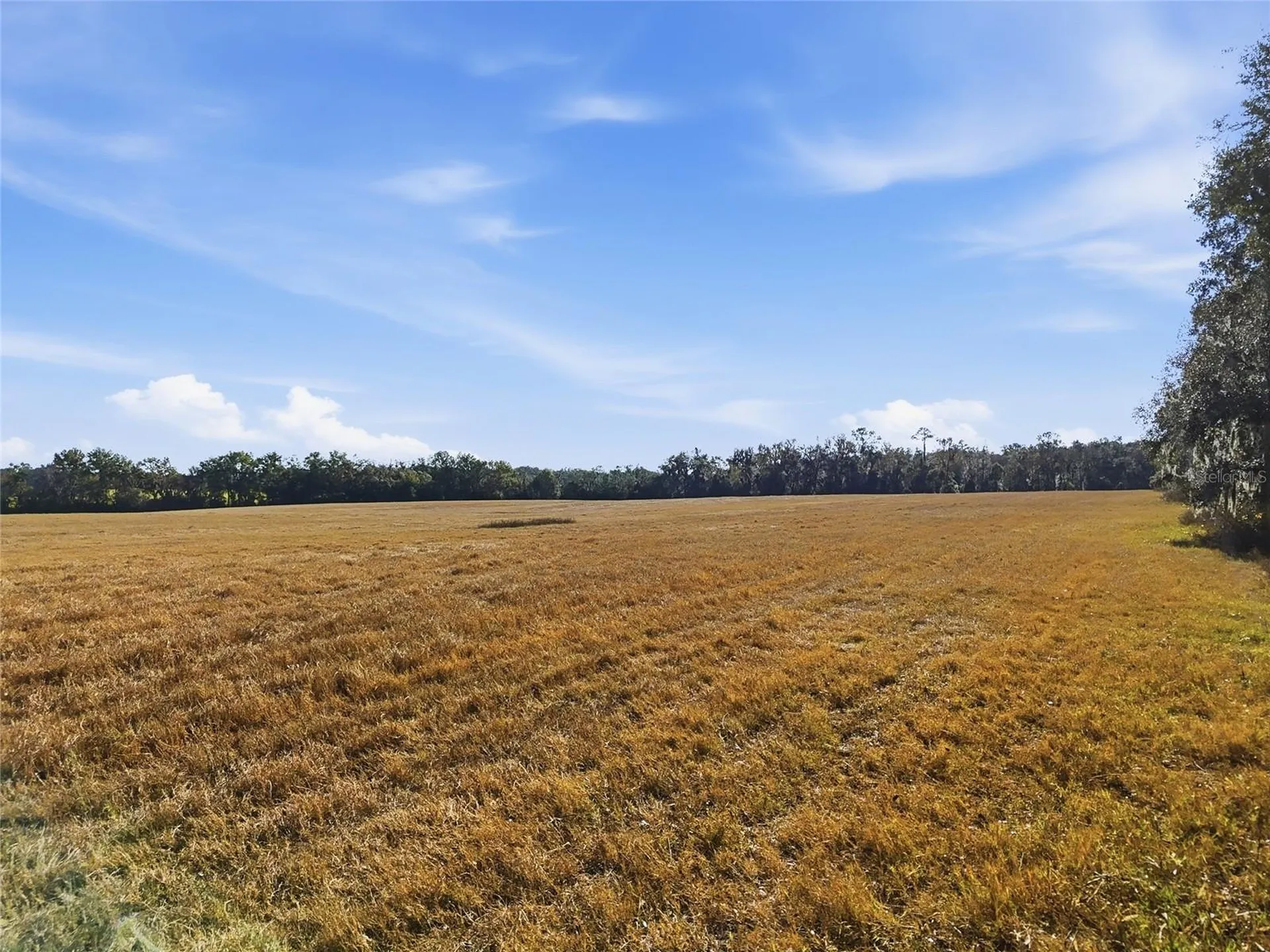 Hwy 236 NW 236 Alachua FL 32615