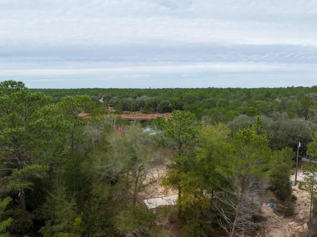 194 Whirlwind Loop Hawthorne FL 32640
