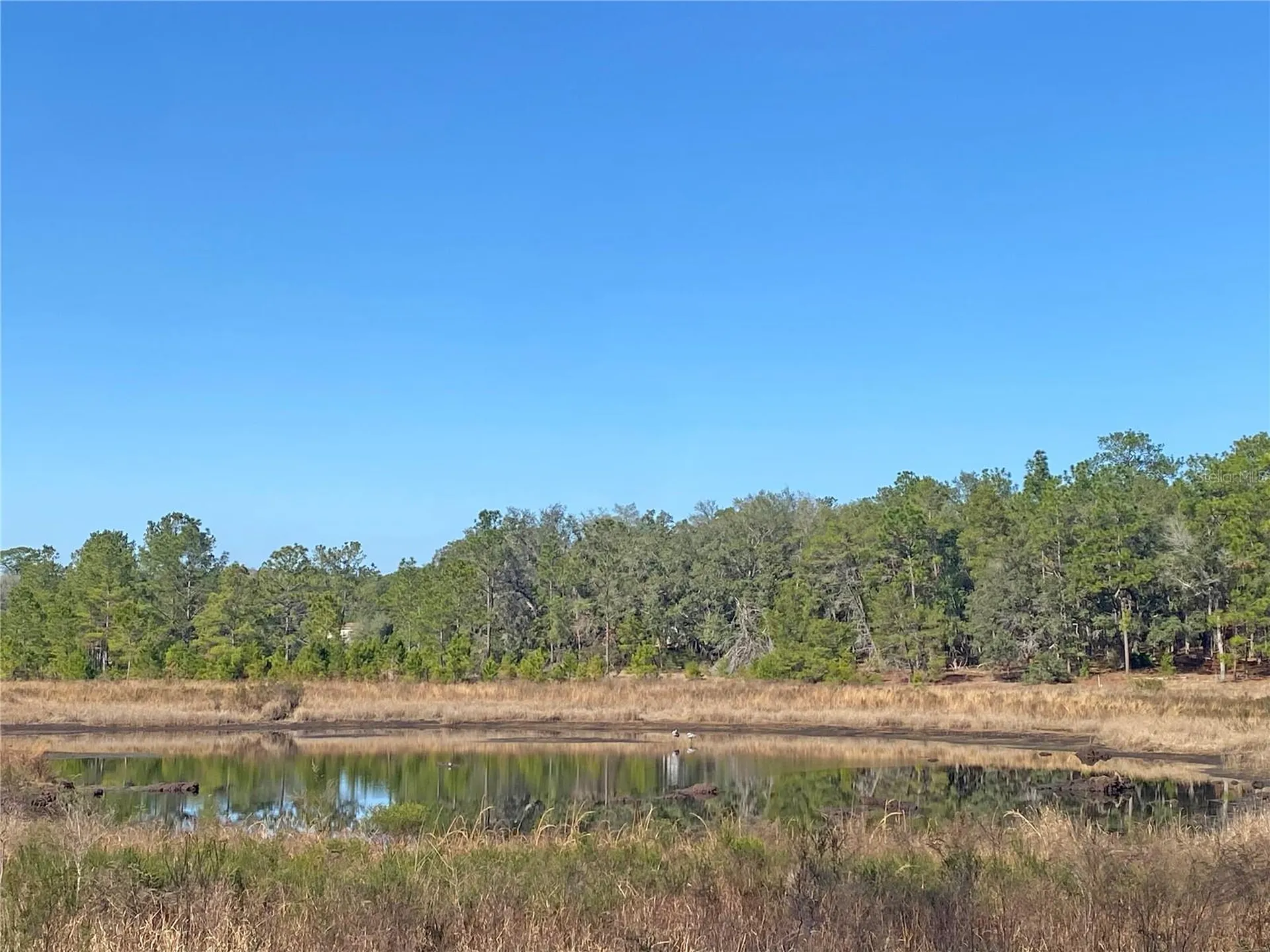 194 Whirlwind Loop Hawthorne FL 32640