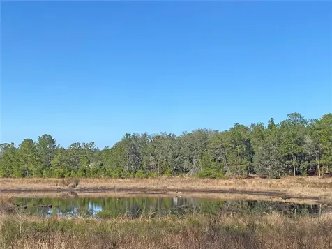 194 Whirlwind Loop Hawthorne FL 32640
