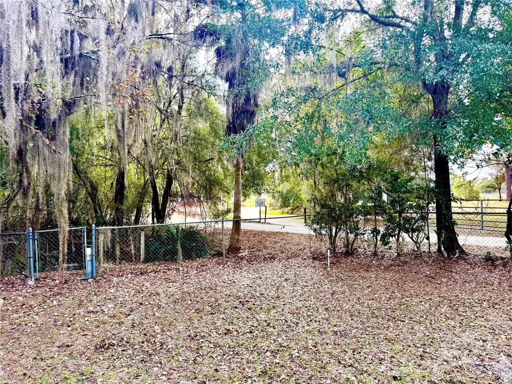 14551 NE 210th Court Road Fort Mc Coy FL 32134