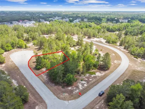 602 Homosassa Way Kissimmee FL 34759