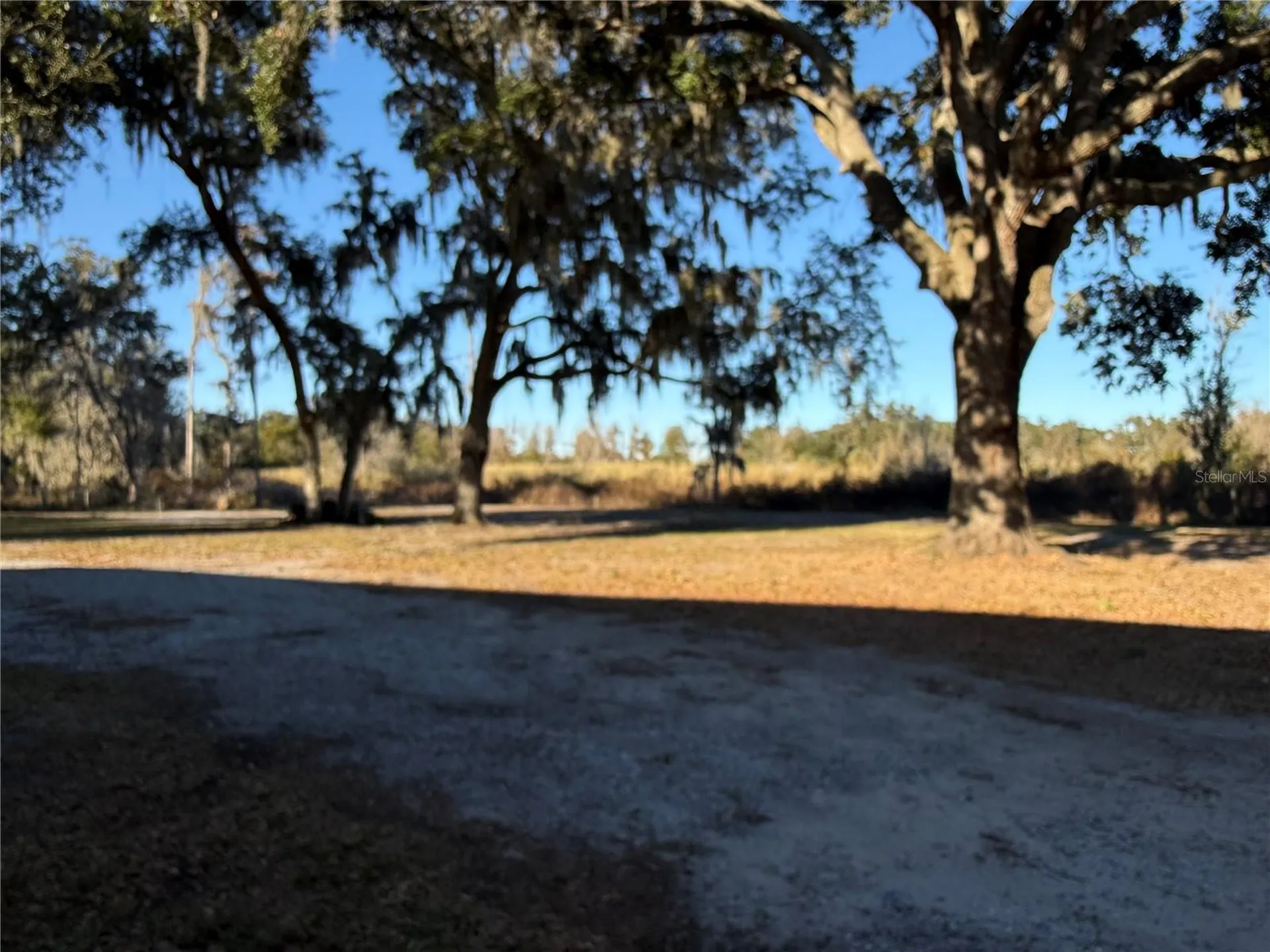 4527 Dove Meadow Lane Lakeland FL 33810
