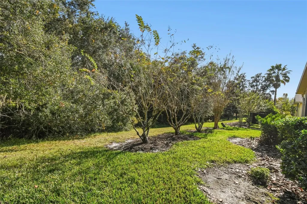 513 Vineyard Way Poinciana FL 34759