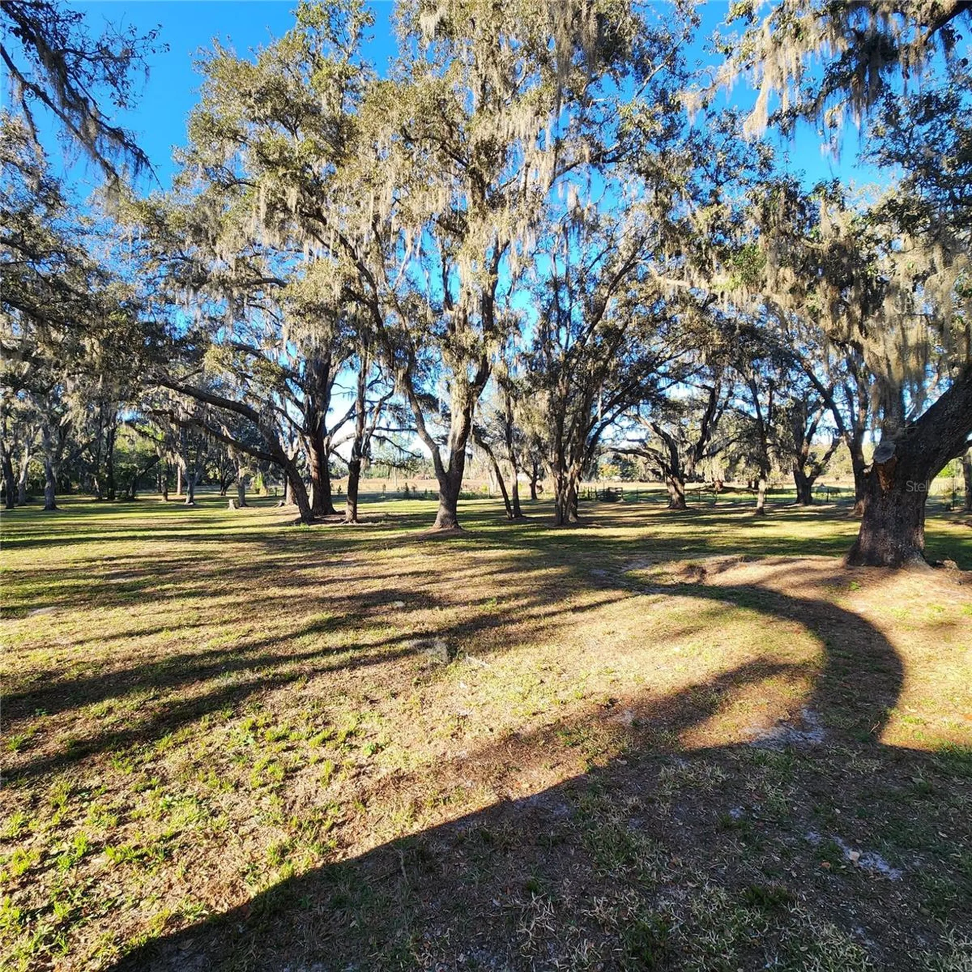 5275 Green Pond Road Polk City FL 33868