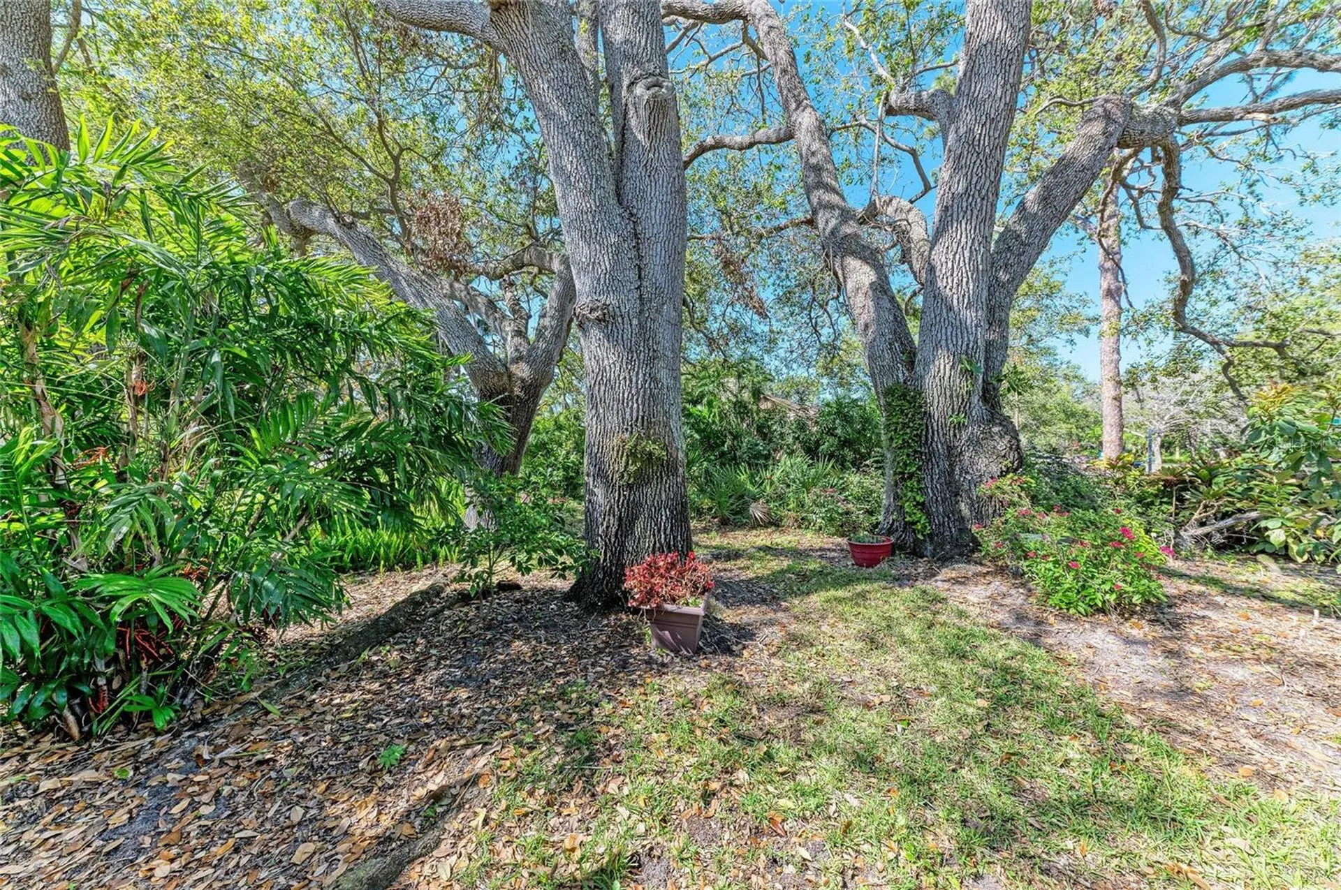 7615 4th Avenue W Bradenton FL 34209