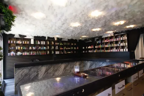 St Petersburg FL 33701