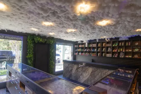 St Petersburg FL 33701