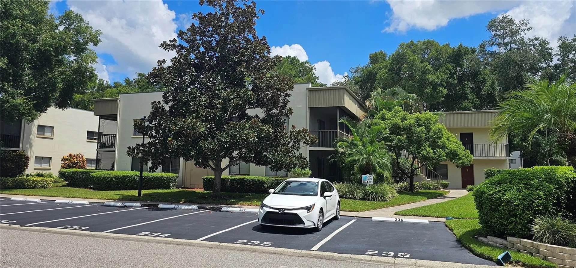 3300 Fox Chase Circle N Palm Harbor FL 34683