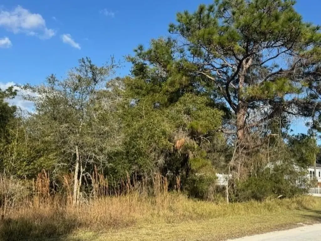 35361 Kramer Street Webster FL 33597