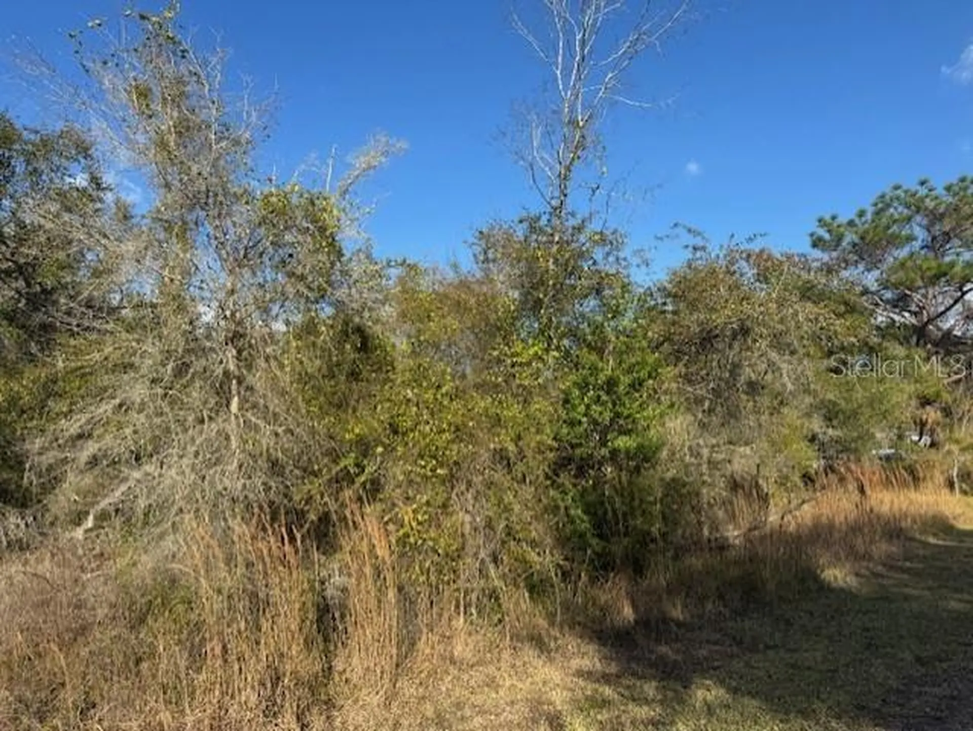 35361 Kramer Street Webster FL 33597