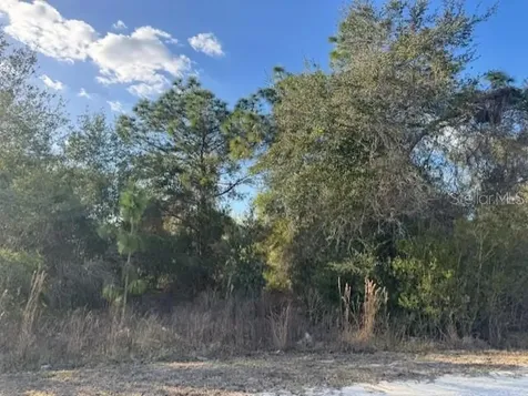 35361 Kramer Street Webster FL 33597