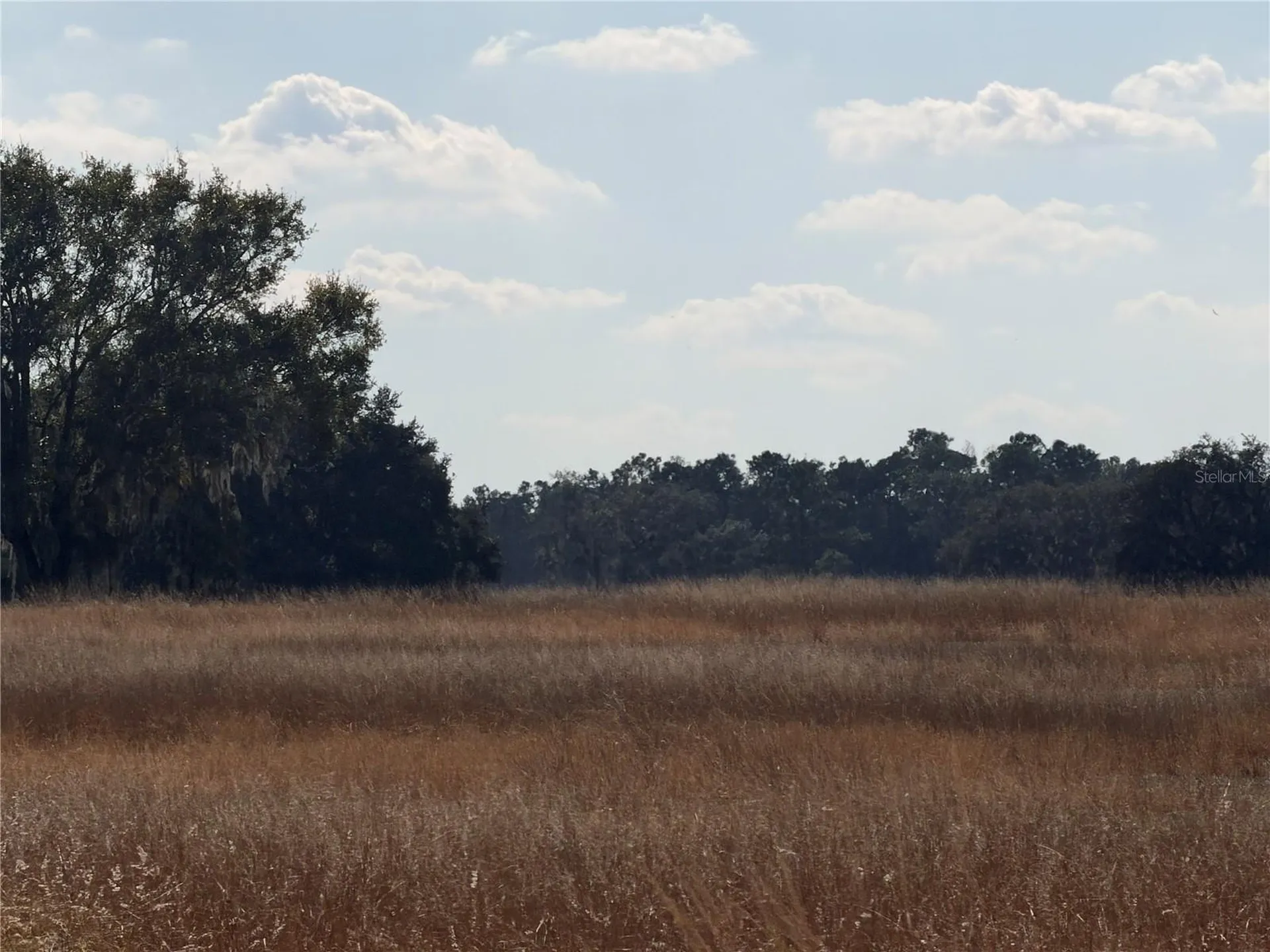 Lake Erie Road Clermont FL 34711