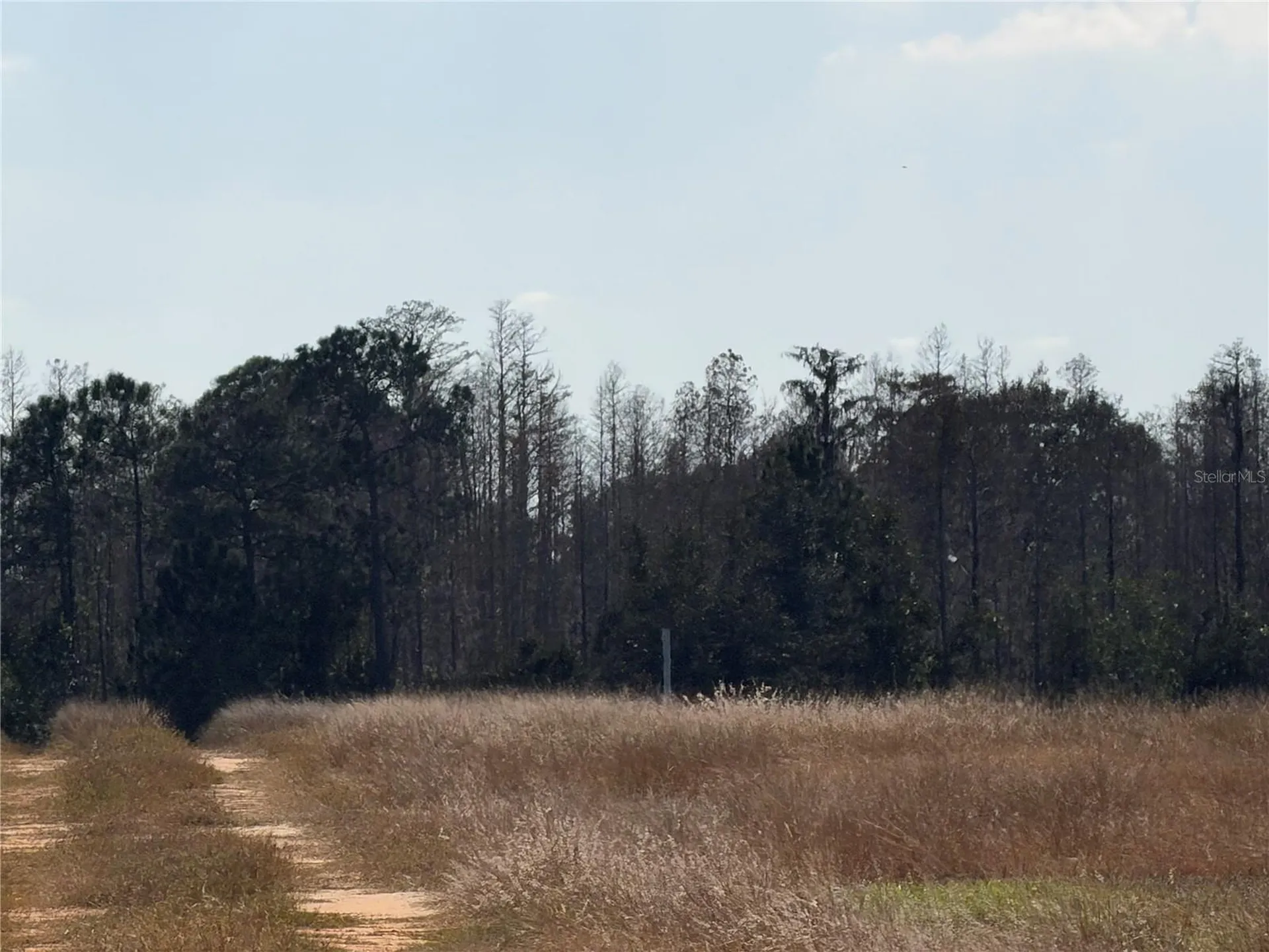 Lake Erie Road Clermont FL 34711
