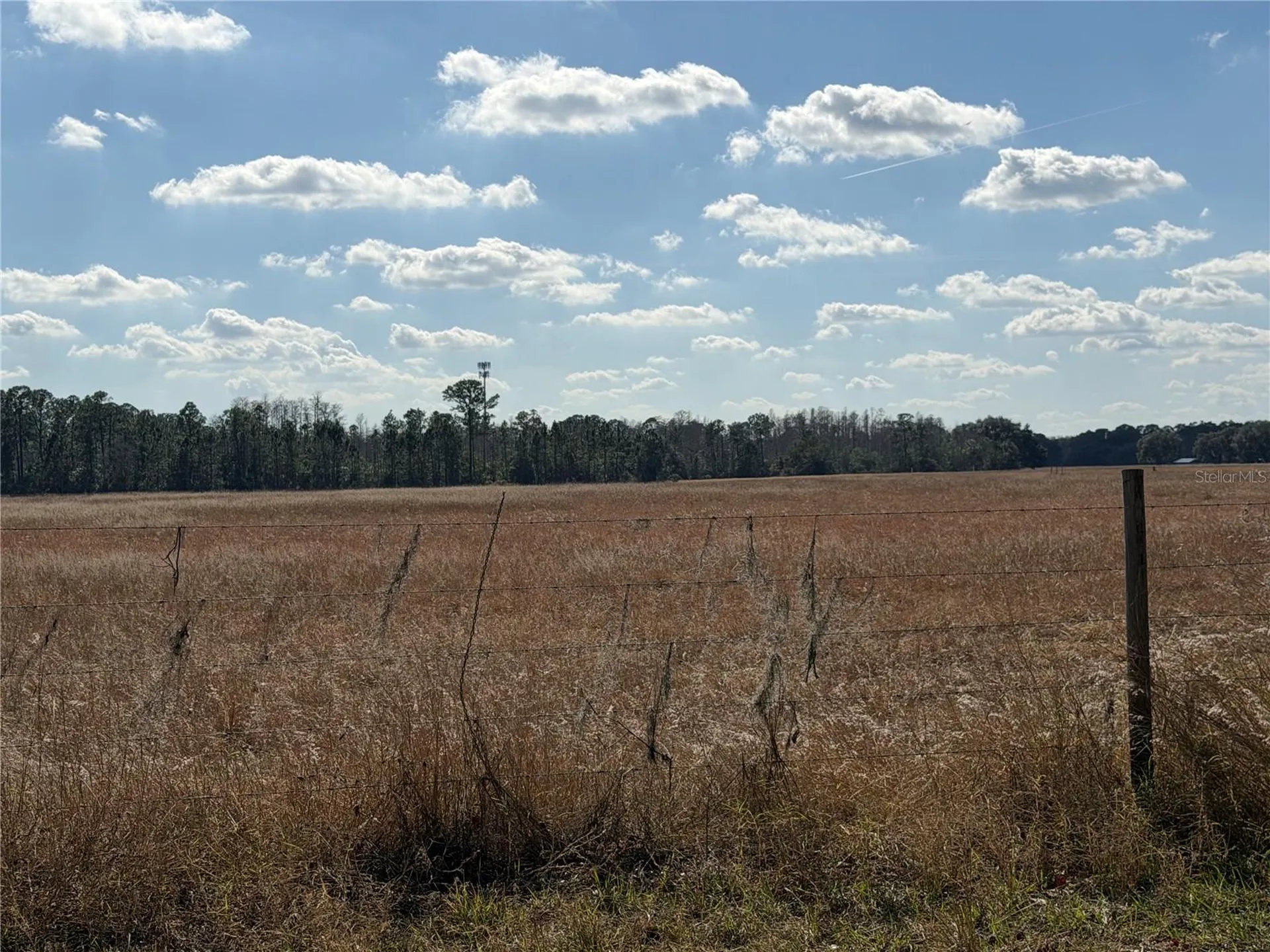 Lake Erie Road Clermont FL 34711