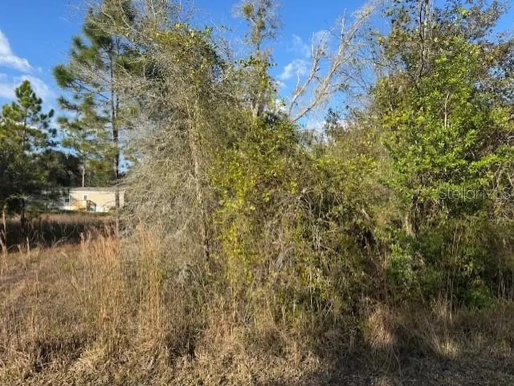 35367 Kramer Street Webster FL 33597