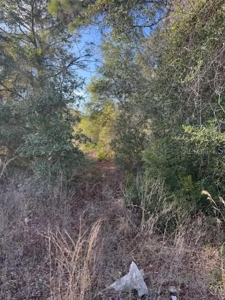 35367 Kramer Street Webster FL 33597