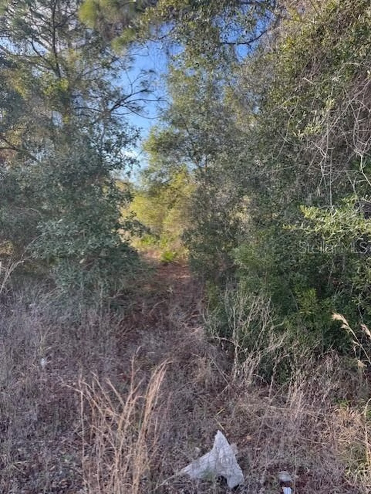 35367 Kramer Street Webster FL 33597