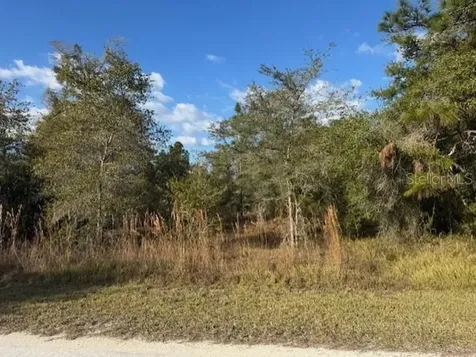 35367 Kramer Street Webster FL 33597