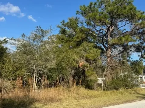 35367 Kramer Street Webster FL 33597