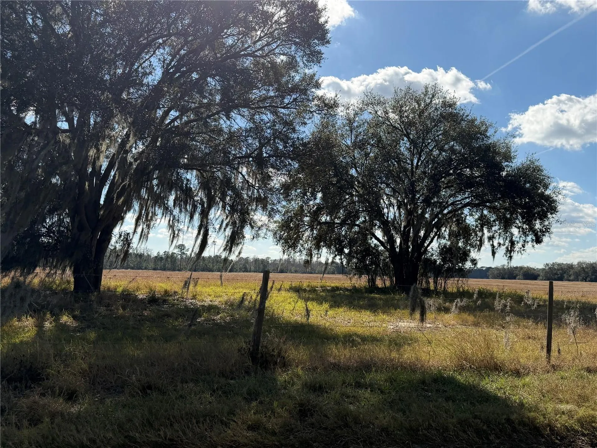Lake Erie Road Clermont FL 34711