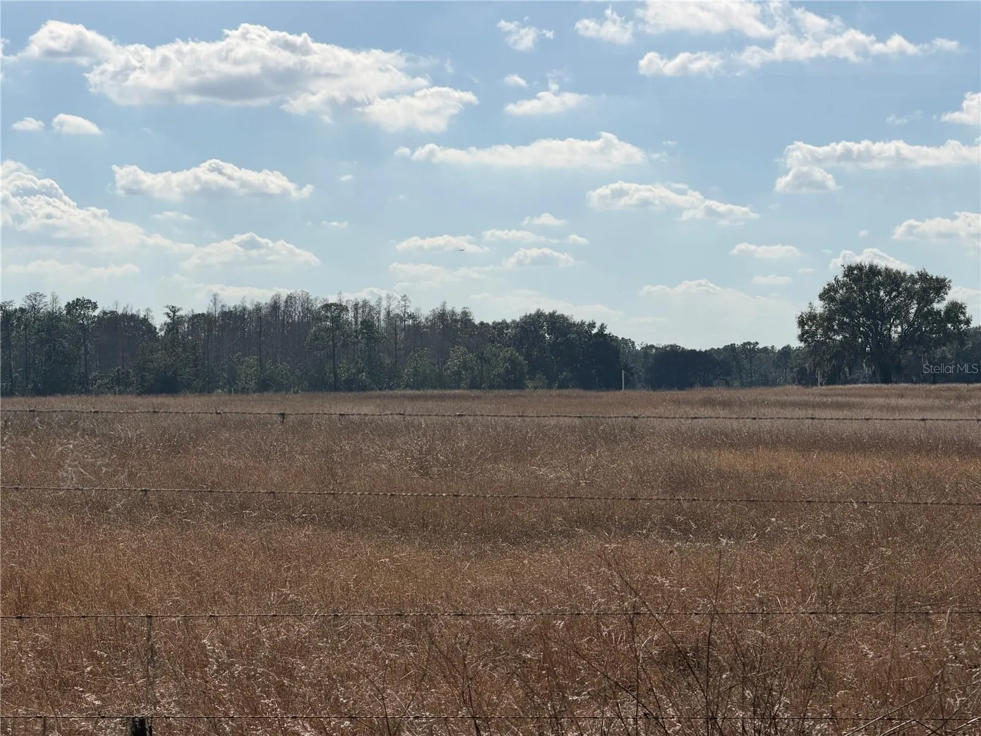 Lake Erie Road Clermont FL 34711