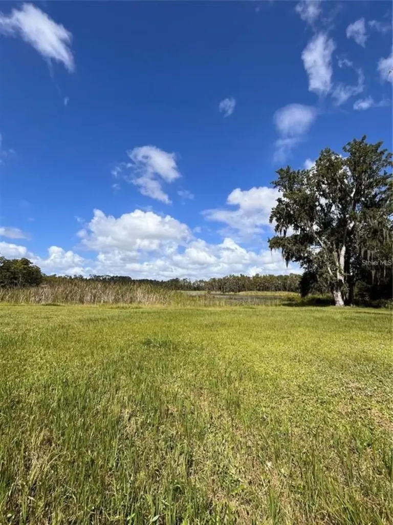 1029 Van Dyke Road Lutz FL 33548