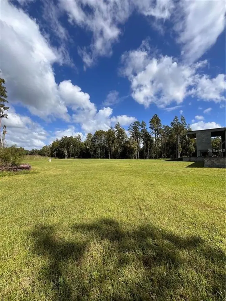 1029 Van Dyke Road Lutz FL 33548