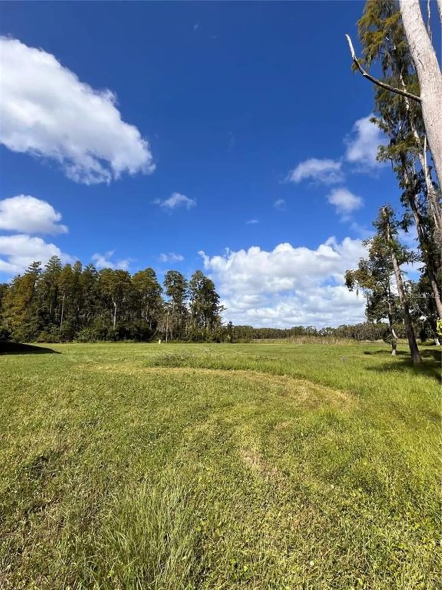 1029 Van Dyke Road Lutz FL 33548