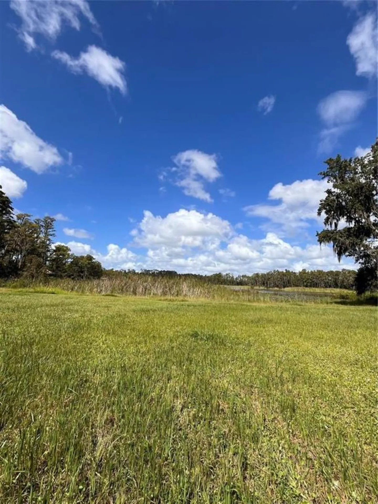 1029 Van Dyke Road Lutz FL 33548