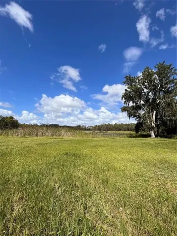1029 Van Dyke Road Lutz FL 33548